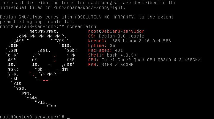 Debian-8-Jessie-recien-arrancado-como-servidor