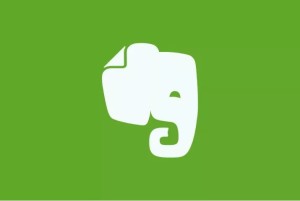 Evernote_elefante